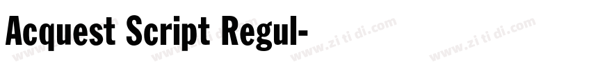 Acquest Script Regul字体转换